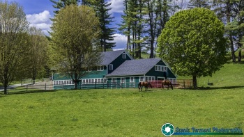 Woodstock-Vermont-5-15-2021-14
