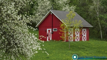 tn_Berlin Barn 5-19-2017-126 SVP