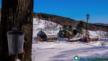 tn_Sleepy Hollow Farm 3-16-2017-4 SVP