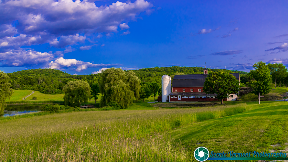Greenrange-Farm-Sudbury-Vermont-6-22-2019-50-Edit