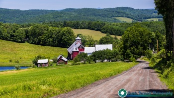 Bogie-Mountain-Farm-6-24-2021-18