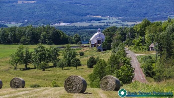 Bogie-Mountain-Farm-6-24-2021-26