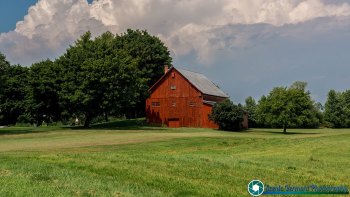 Charlotte-Vermont-Farms-8-4-2024-12