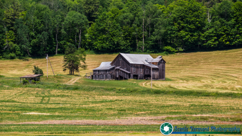 East-Peacham-Vermont-6-20-2020-7