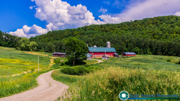 Hillside-Acres-Farm-West-Barnet-Vermont-6-21-2020-5-Edit
