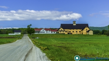 Montpelier Farms 5-27-2017-124