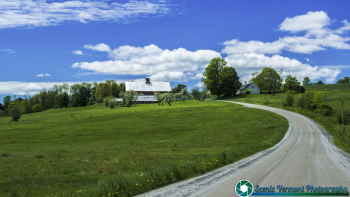 Montpelier Farms 6-27-2017-151