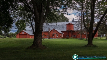 Shelbourne -Vermont-Farms-9-2-2024-22