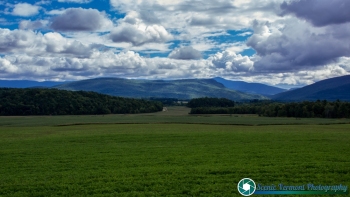 New-Haven-Vermont-Farms-9-2-2024-6-Edit