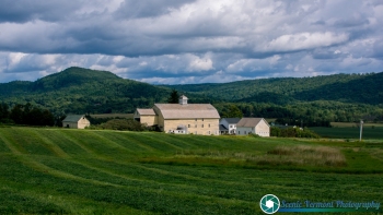 New-Haven-Vermont-Farms-9-2-2024-9