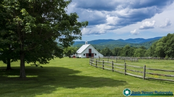 Senor-Road-Horse-Farm-Warren-Vermont-6-17-2026-19