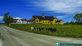 Sibley Farm