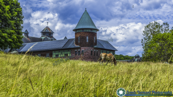 tn_Shelburne Farms -39