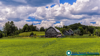 Vermont Dairy Farm near Barnet Vermont