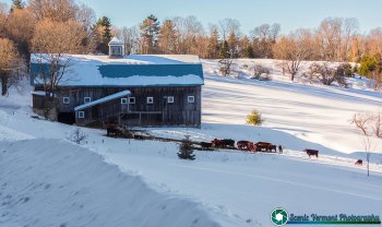 Bogie-Mountain-Farm-Rugate-Vermont-2-22-2025-5