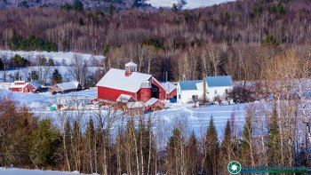 Bogie-Mountain-Farm-Rugate-Vermont-2-22-2025-9
