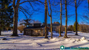 Breadloaf-View-Farm-3-5-2014-13-2