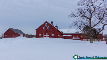 Burke-Vermont-2-20-2019-9
