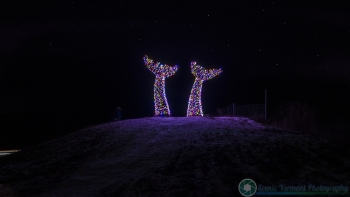 Burlington Whale Tails 12-24-2016-127-SVP