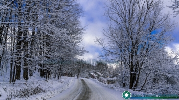 MISC Vermont 12-12-2014-2 SVP