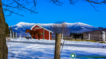 Mount-Mansfield-Vermont-2-22-2020-19
