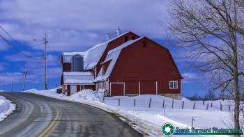 Newport-Center-Vermont-Farms-2-21-2021-7-Edit