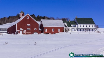 North-Danville-Vermont-Farms-3-4-2021-1-Edit