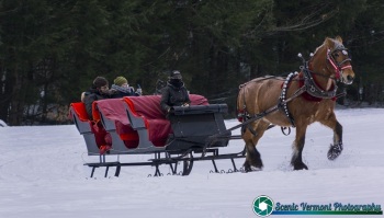 Stowe-Vermont-1-15-2021-20