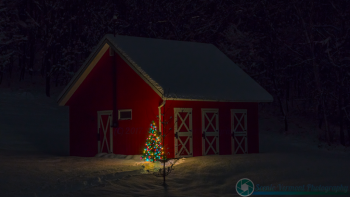 XMAS-Tree-11-28-2014-10-Edit