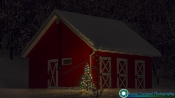 XMAS Tree 11-28-2016-5