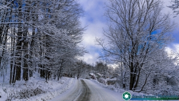 tn_MISC Vermont 12-12-2014-2