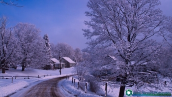 Late winter dusting.
