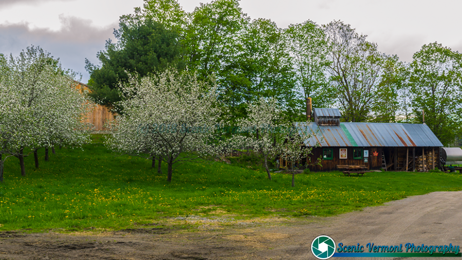 Around Montpelier 5 19 2017 120